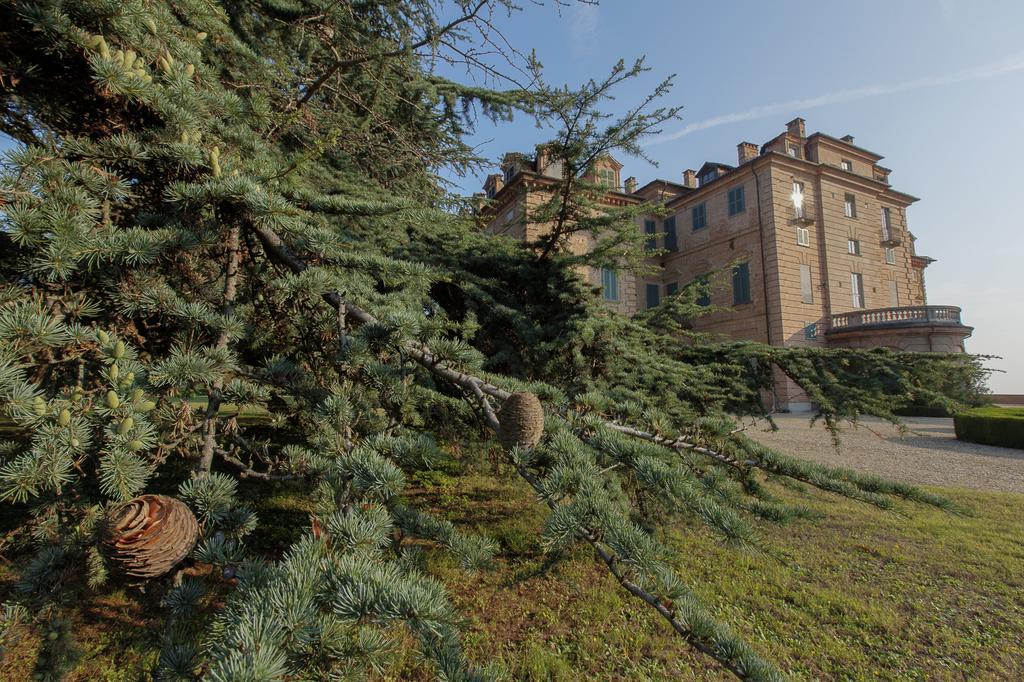 Marchesi Alfieri - Cantine E Ospitalita Acomodação com café da manhã San Martino Alfieri Exterior foto